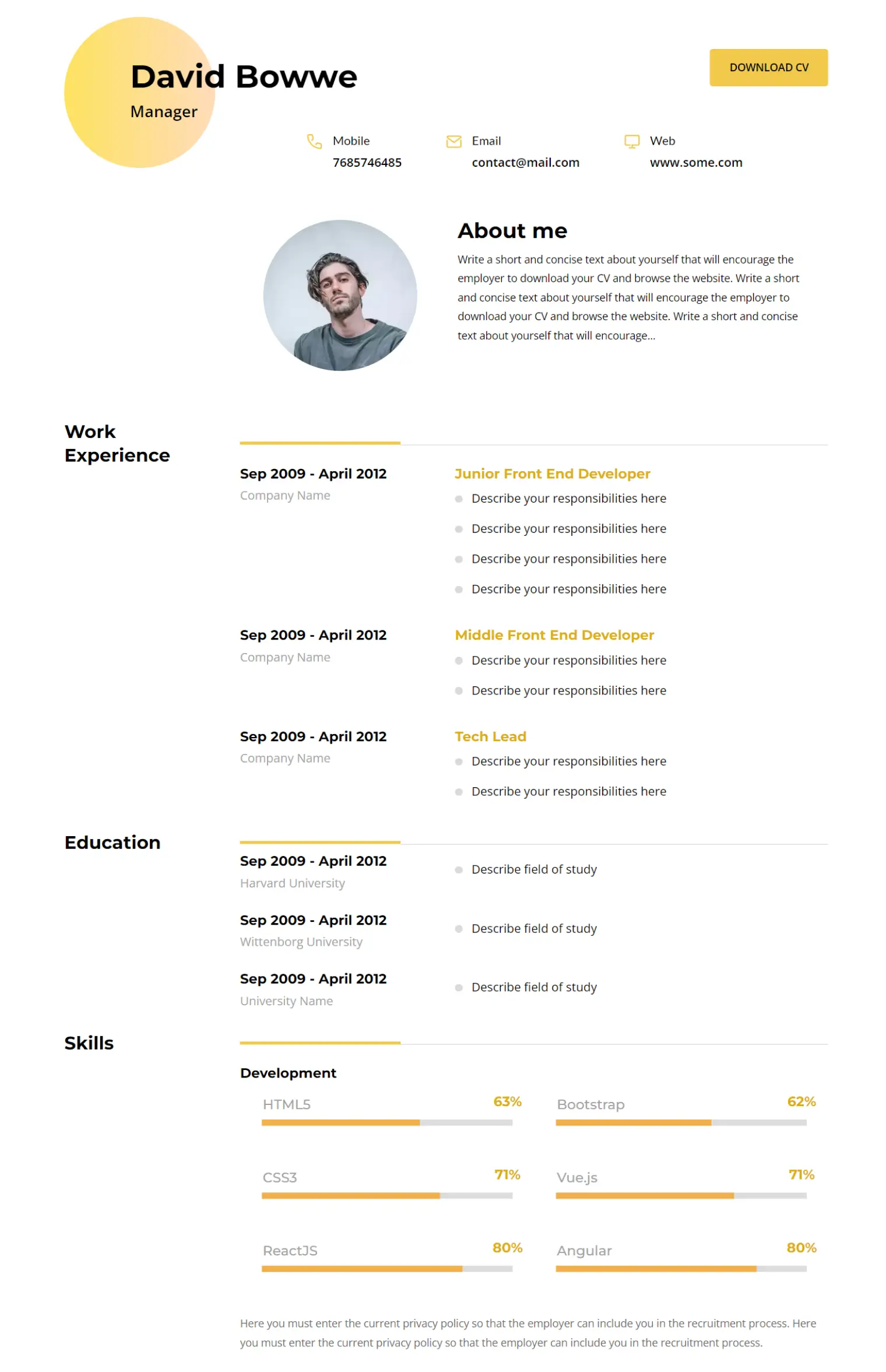 Creative CV Template by BOWWE