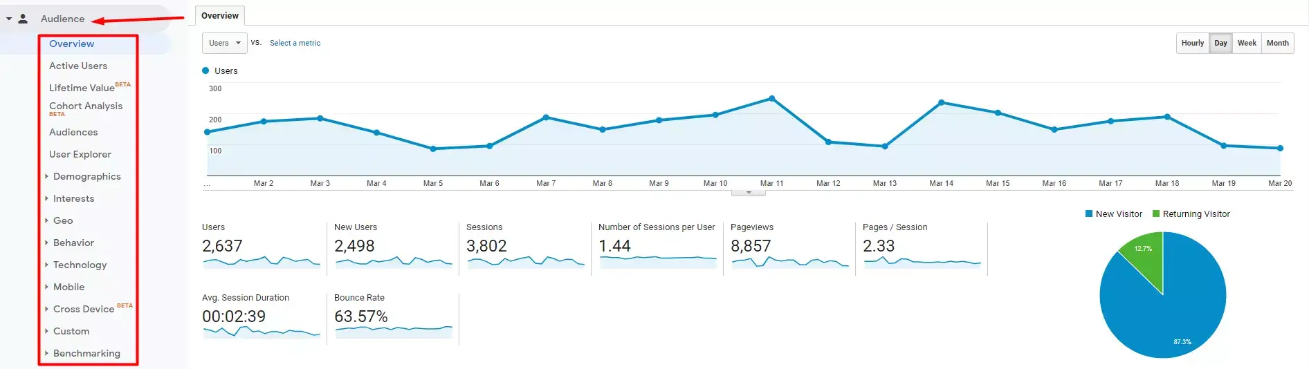 Screenshot_From_GoogleAnalytics_Users